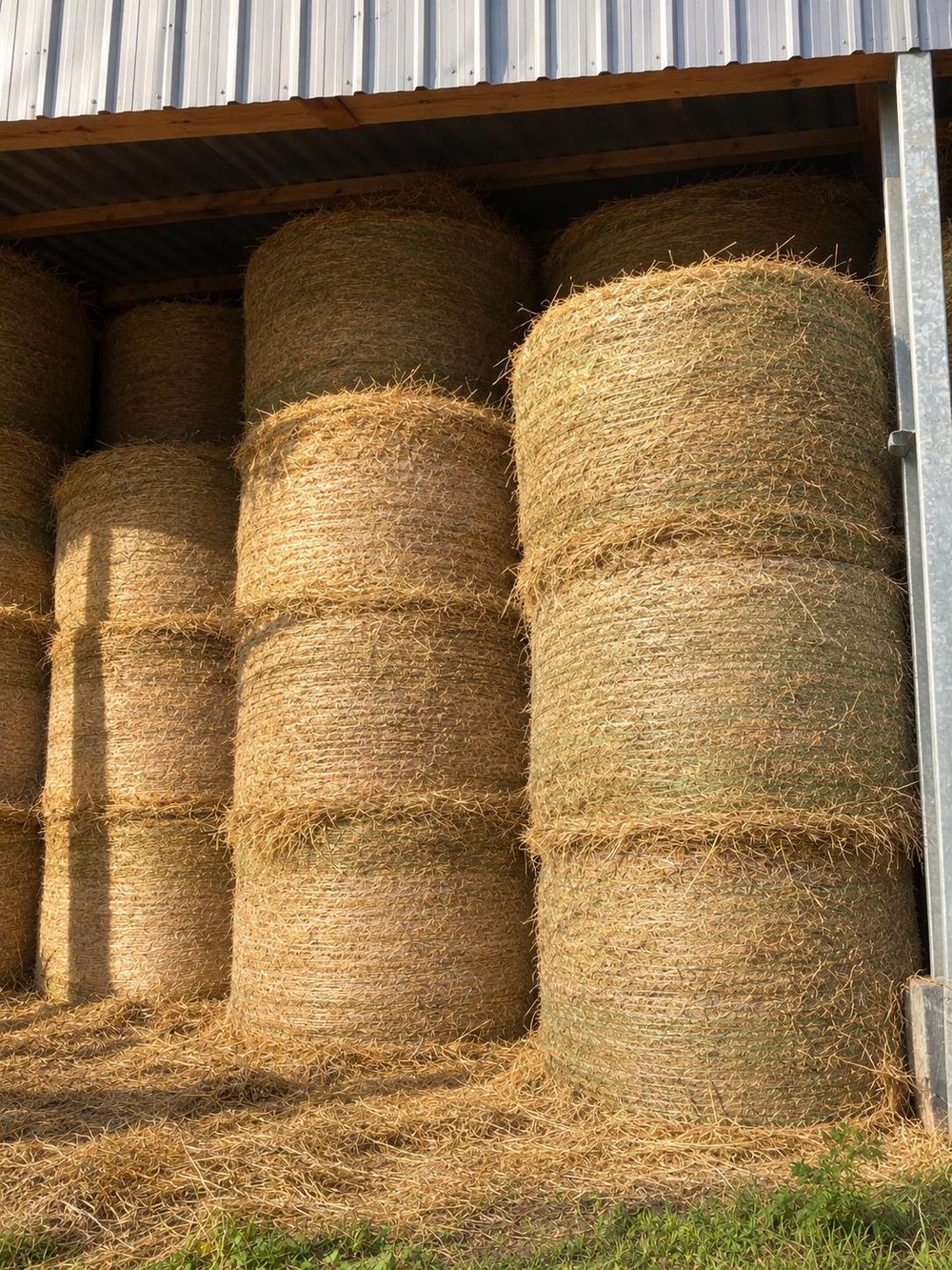 Balles de foin VIIR à l'abri sous le hangar
